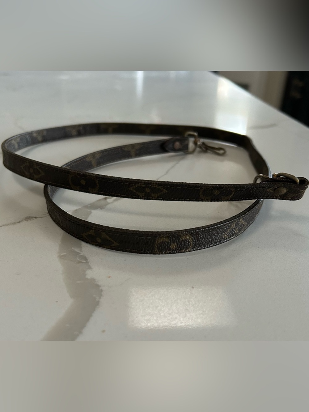 Louis Vuitton Monogram Strap